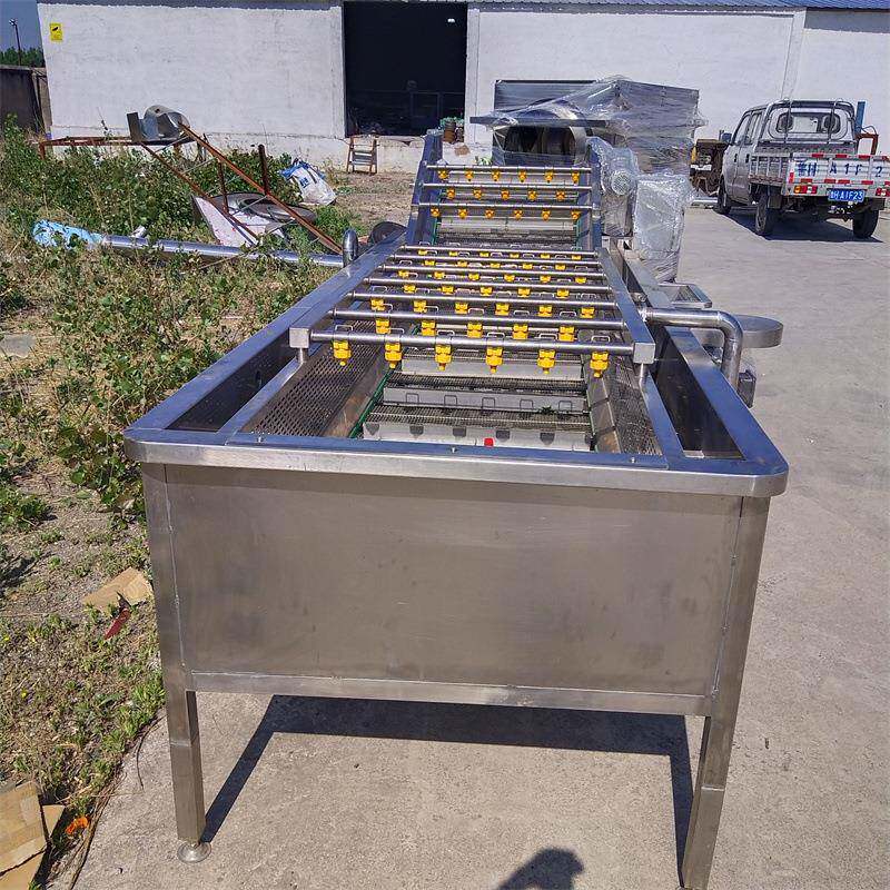 苹果清洗机水果气泡喷淋清洗设备源头厂家蔬菜水果加工清洗机