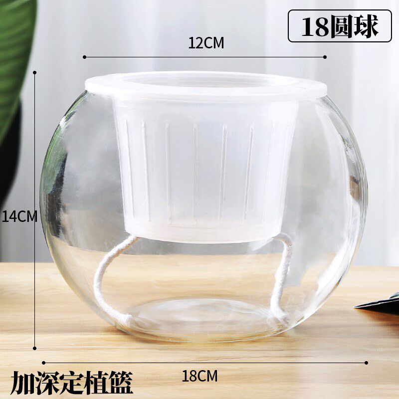 水培植物玻璃瓶透明花瓶水养容器绿萝花盆养鱼器皿大鱼缸室内摆件