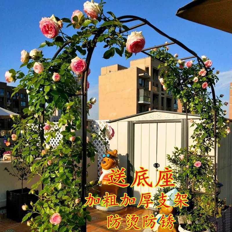 盆栽葡萄架爬藤架铁艺拱门花花园月季攀爬花支架户外植物架子菜棚图片