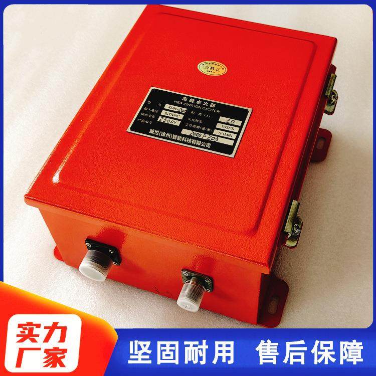 工业燃烧器20焦耳燃油高能点火器JGD-20配套点火杆用,工业油品/胶粘/化学/实验室用品,其他实验室设备,淘宝优惠券,粉丝福利购,淘宝优惠卷