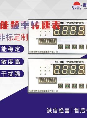 SFSD-5P速度测量仪表