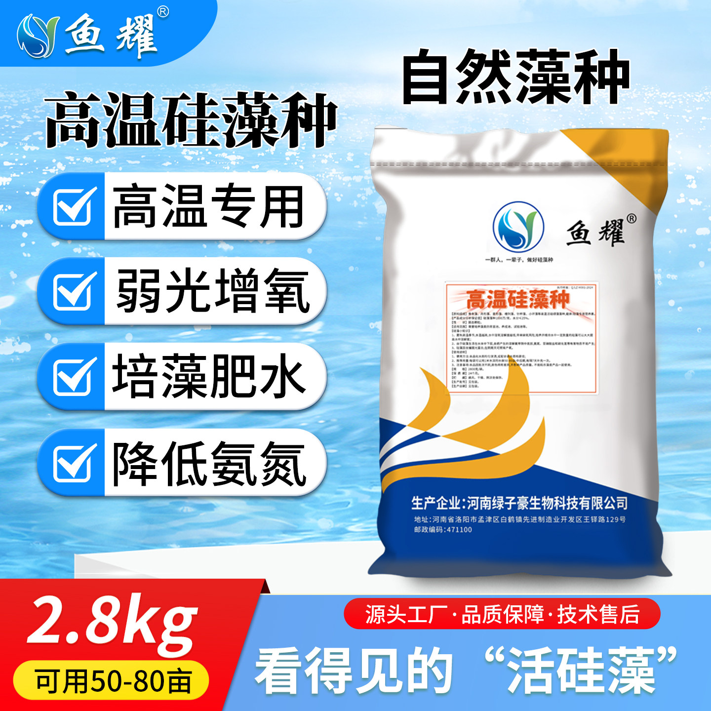 鱼耀高温硅藻种水产养殖肥水培藻