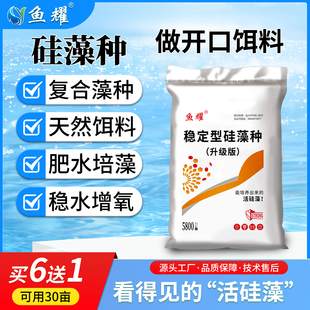 硅藻种水产养殖专用小球藻肥水膏鱼虾蟹塘水质稳定剂调水肥水培藻