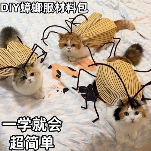 猫狗DIY扭扭棒蟑螂服材料包
