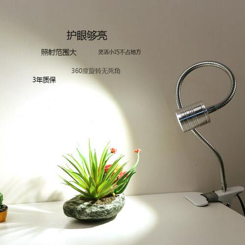 促销创意时尚夹式LED长臂台灯宿舍卧室书桌化妆机械5W超亮插头款