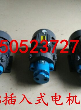 TCBW-B4CBW-B6CBW-B10带锯床用齿轮油泵机组 减速机齿轮油泵机组