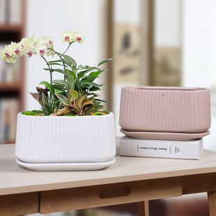 蝴蝶兰专a用花盆大号家用长方形兰花绿植简约亚白色阳台盆栽带托
