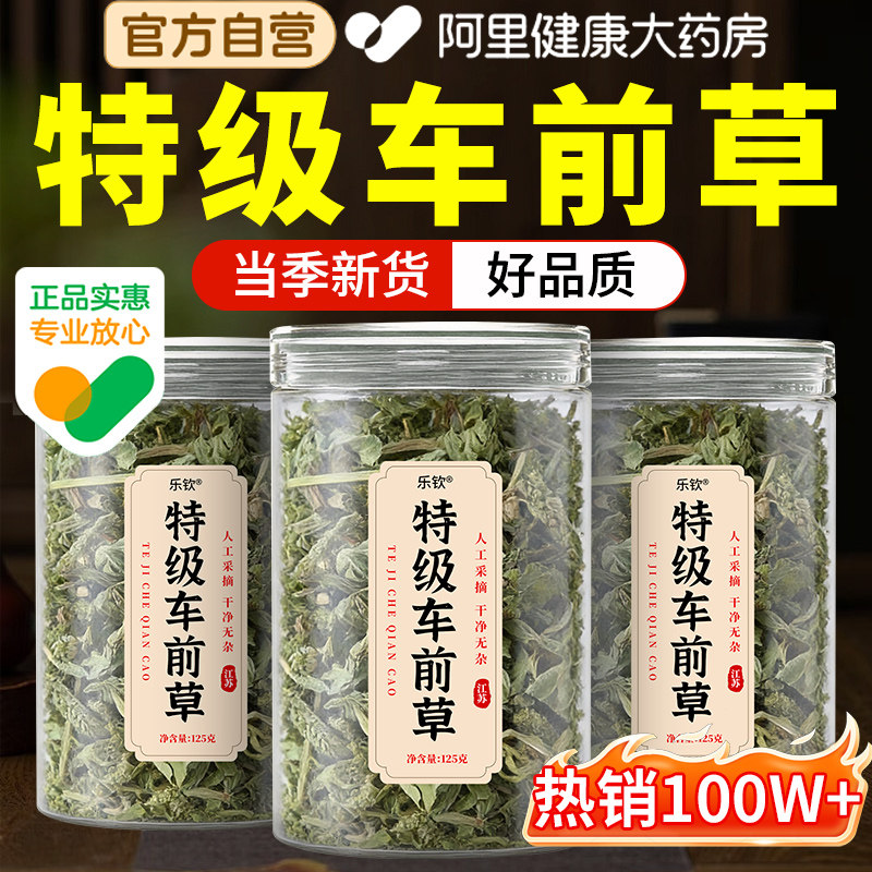 特级车前草干货官方旗舰店泡水喝的功效与作用新鲜中药材正品金线