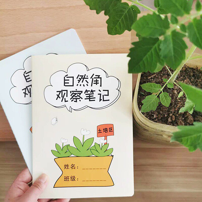 A5B5幼儿园自然角观察记录本迷你土培水培区小学生种植植物笔记本