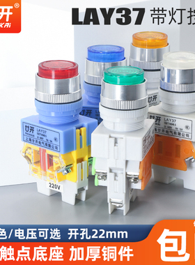 LAY37/Y090-11DN启动停止点动自复位带灯按钮开关红色绿色开孔22M