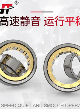 天马圆柱轴承 NU NJ204 205 206 207 208 209 210 211 212 213EM