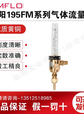 AMFLO敦阳 195FM气体流量计 195FM-25L 二氧化碳  氩气实验室气路
