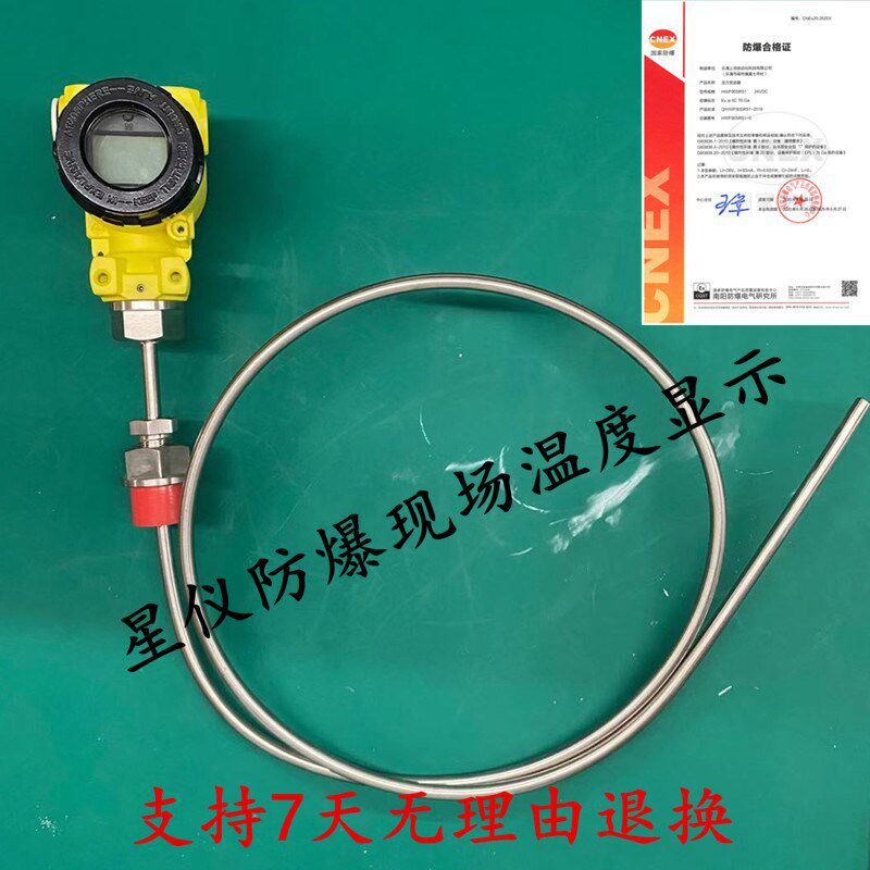 PT100防爆热电阻 铠装双支热电偶温度传感器一体化现场显示温度计