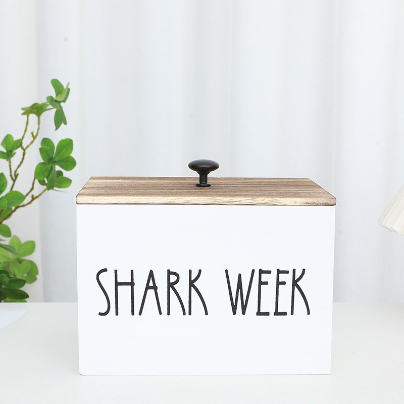 木质收纳盒洗衣房分格收纳盒客厅卧室储物装饰性T带T盖子纸巾收纳