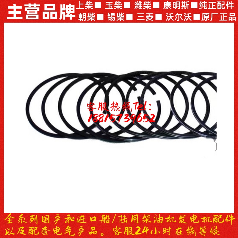 潍坊潍柴4100/4102/410v5/4108/6105华丰华东柴油发动机活塞环原