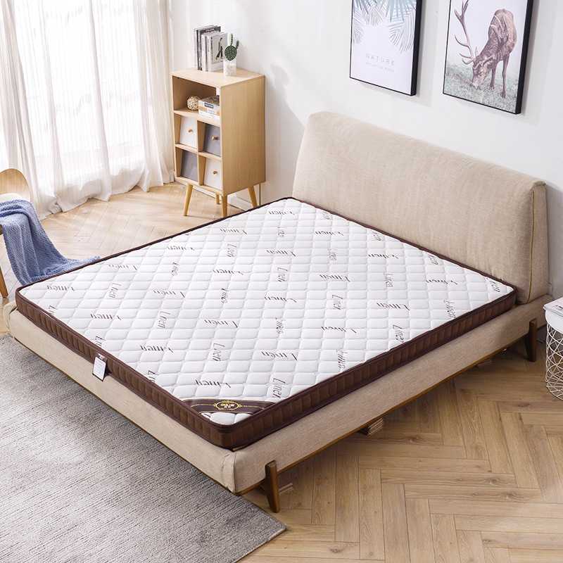 椰棕床垫棕垫1.8m床偏硬榻榻米10cm公分厚1.8x2耶棕榈垫