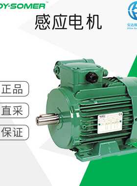 工厂直采 德国 LEROY SOMER 感应电机 多型号可询 LS P系列