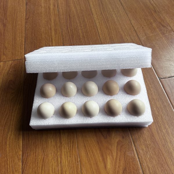 15枚鸡蛋托 珍珠棉泡沫保护套珍珠棉鸡蛋托  鸡蛋包装盒
