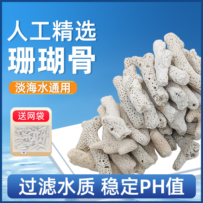 大块珊瑚骨滤材纯天然精选珊瑚石水族锦鲤鱼缸鱼池过滤材料造景图片