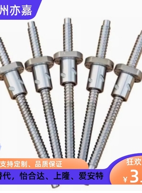 滚珠丝杠BSWE/BTWE/BTWP0802 1002 1204 1510 1520 2010 2510 05
