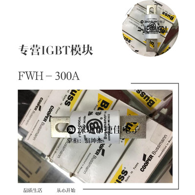 BUSSMANN熔断器FWH-300A FWH-350A FWH-400A FWH-500A热卖现货