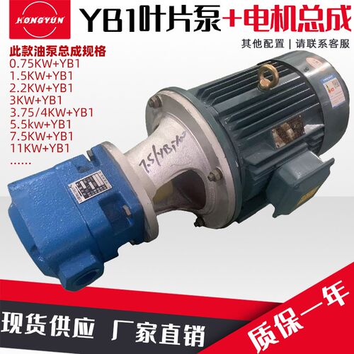 液压油泵电机组YB1+1.5KW2.2KW液压泵总成内轴电机液压站配件系统