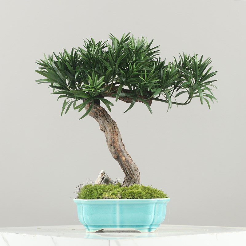 新中式仿真崖柏迎客松绿植盆景玄关前台花架样板间酒店民宿摆件