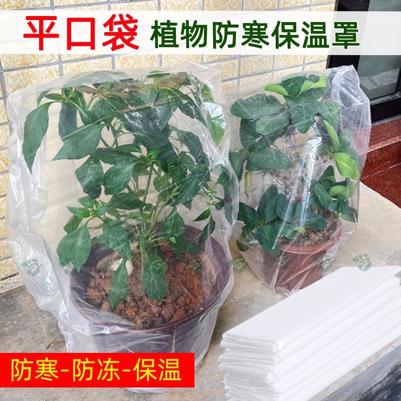 植物防冻罩透明袋绿植防冻保温袋塑料膜花卉盆栽过冬保护罩树木防