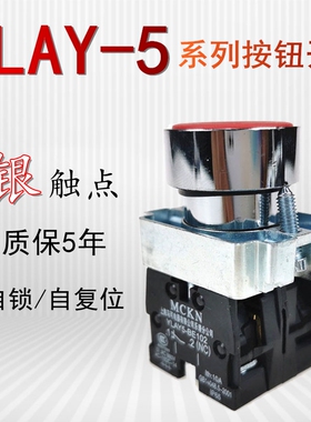 YLAY5-BE101C-BE102C平头按钮启动开关代替ZB2-BE101C-BE102C银点