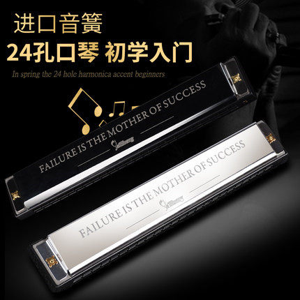 高品质24孔特别调口琴C\D\E\F\G\A\B\升C\降E\升F\降A\降B金银色