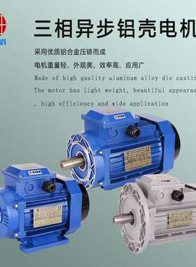 0.75KW油水分离机电机YE38024三相异步电动机B5B14铝壳电机马达