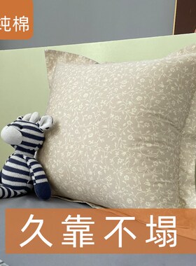 1F13印花靠枕套双面抱枕套不含芯卧室床上头大N靠背65x65x60正