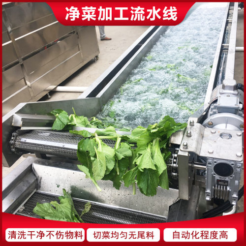 净菜设备辣椒清洗机 包装袋清洗喷淋设备 果蔬清洗机