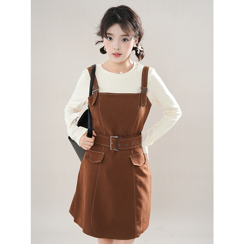 摩卡椰椰 秋冬新款美拉德穿搭设计感上衣背带连衣裙收腰显瘦套装