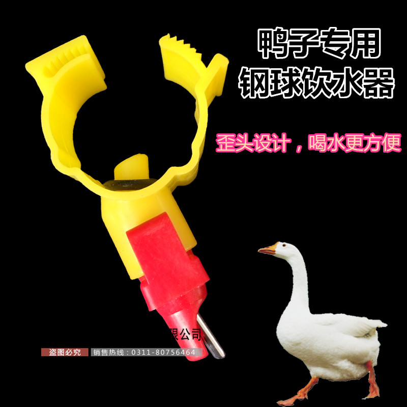 鸭子钢球饮水器 鸭用自动饮水器 乳头钢球饮水器 鸭子专用饮水嘴,农机/农具/农膜,灌溉工具,淘宝优惠券,粉丝福利购,淘宝优惠卷