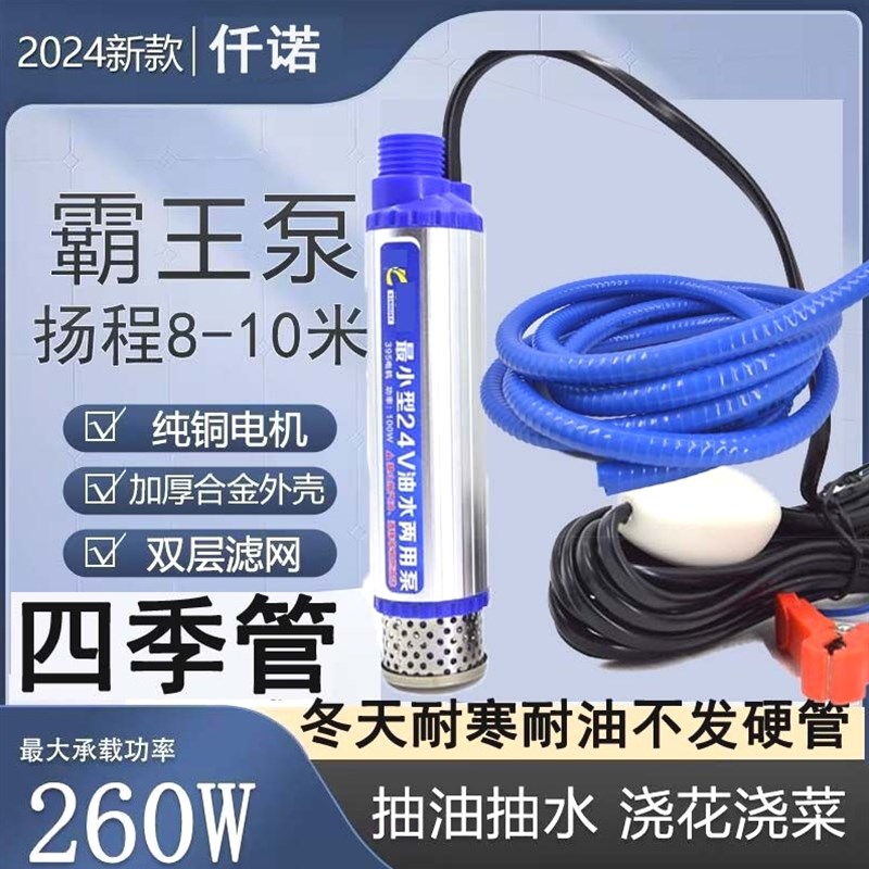 德国进口电动抽油泵柴油12v24伏通用抽水泵抽油神器小型加油枪油