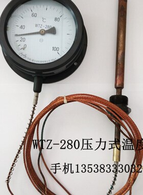 雷尔达压力式温度计WTZ/WTQ-280 0-100度锅炉工业用指针温度表
