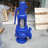 德国艾瑞ARI全启式 泄压阀Fig902减压阀导热油蒸汽管道法兰排气阀