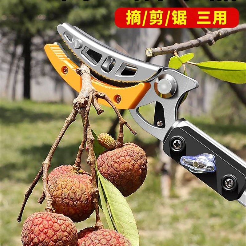 摘水果神器采摘杨梅柿子枇杷3米5米高空摘果剪伸缩高枝剪采果专用