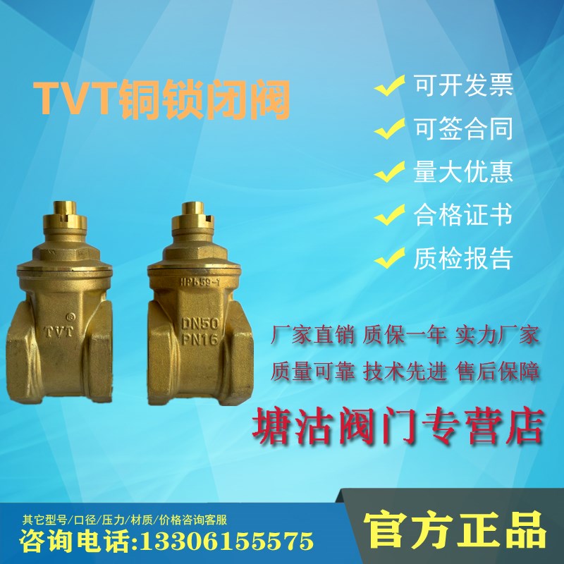 TVT铜带锁闸阀丝扣水表前防盗阀DN40天津塘沽阀门瓦特斯上海沪工