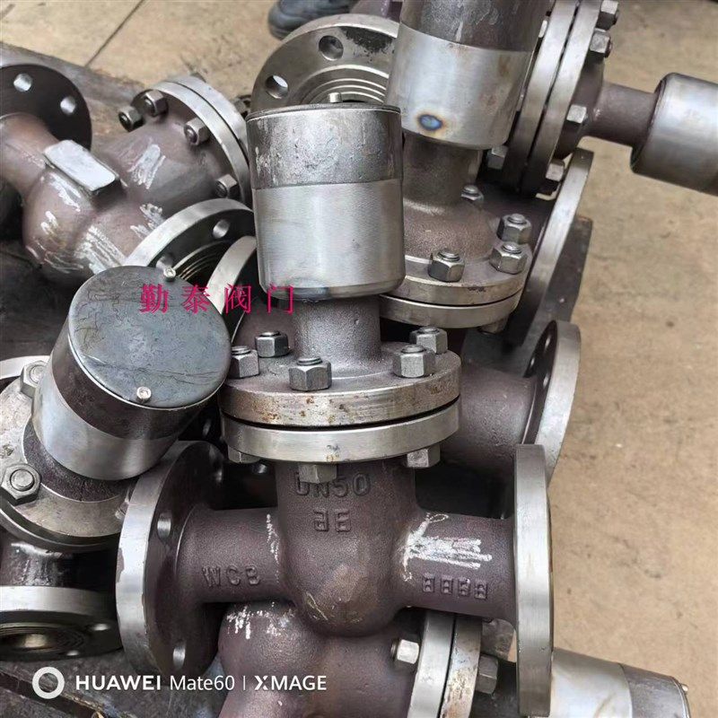 FDZ45H-16C 铸钢法兰锁闭闸阀防盗法兰加密闸阀磁性锁闭带锁闸阀