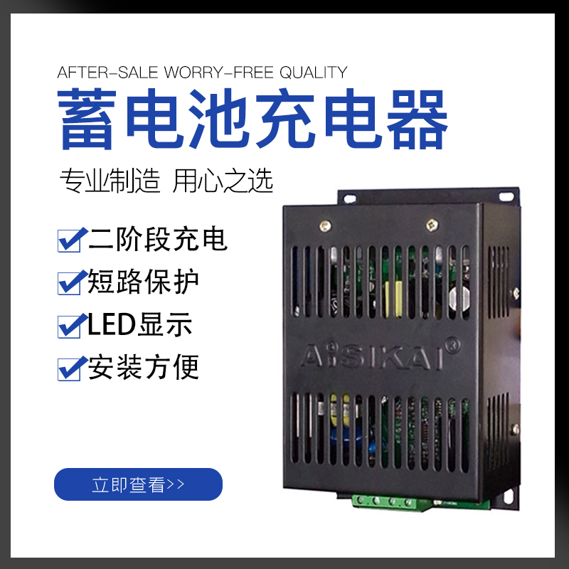 柴油发电机AISIKAI爱斯凯原装蓄电池BAC06A电瓶智能充电器12V/24