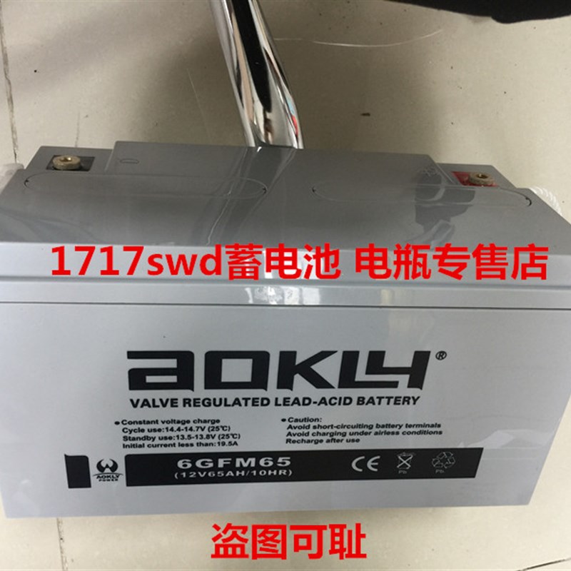 AOKLY奥克莱蓄电池 6GFM65 12V65AH/20HR 直流屏电柜 UPS电源电瓶