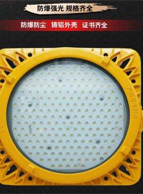 BFC8117LED防爆泛光灯200W400W油田石化钻井防爆含调光接口防爆灯