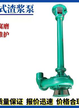 液下排污泵 NSL YW泥浆泵 2寸 3寸杆泵50YW17-25-3污水泵 抽粪泵