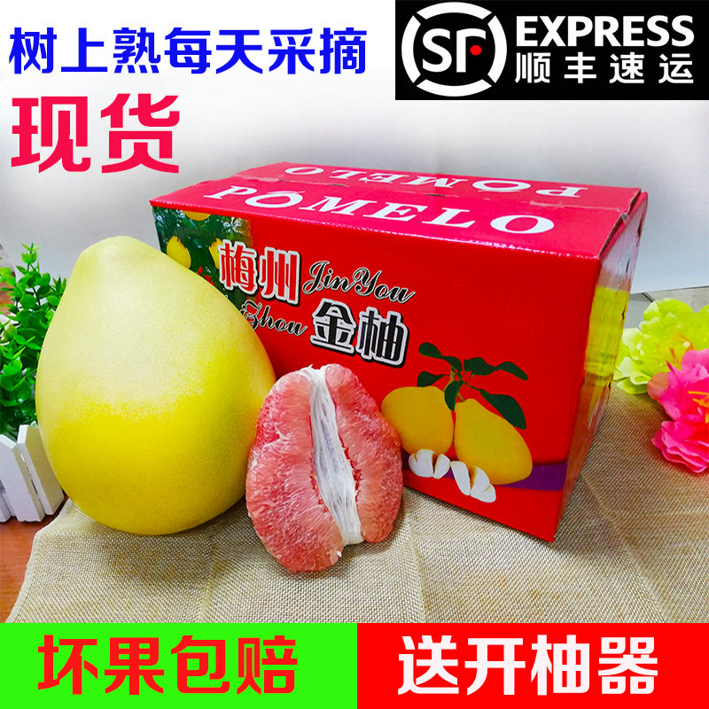 正宗三红蜜柚红肉柚礼盒装