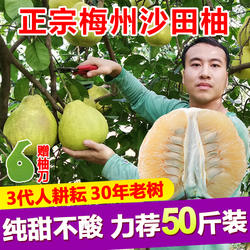 【全国包邮】袋装30-50斤梅州沙田柚纯甜柚子正宗梅县金柚非白柚