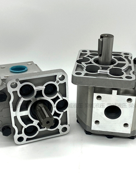 液压齿轮油泵CBNF520 F525 F532 F540 F550 F563 F580BFHL BFPR