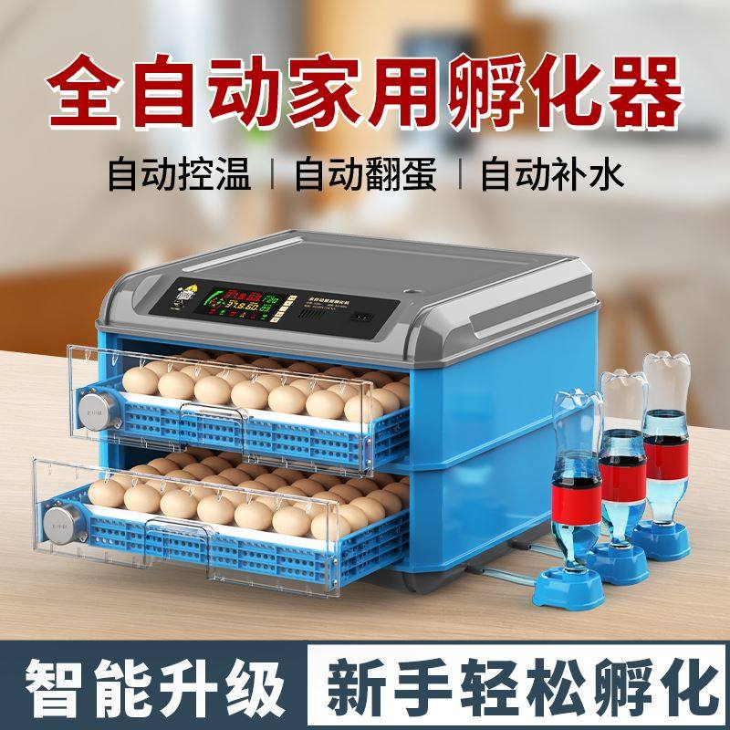 孵蛋器小型家用型孵化器智能全自动孵化机器芦丁小鸡鸭鹅鸟孵化箱,童装/婴儿装/亲子装,儿童装饰手表,淘宝优惠券,粉丝福利购,淘宝优惠卷