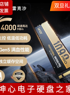 雷克沙国行NM1090Pro 1T 2T PCIe5.0台式机笔记本电脑固态M.2硬盘